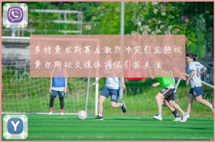 多特费尔斯赛后激烈冲突引发热议费尔斯社交媒体调侃引发关注
