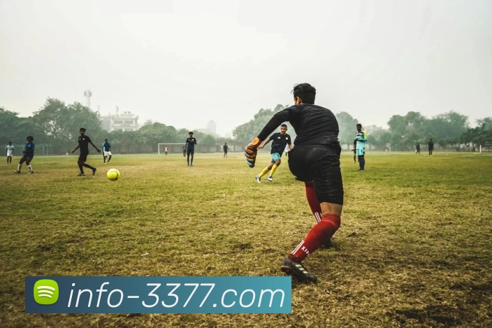 3377体育平台生态图